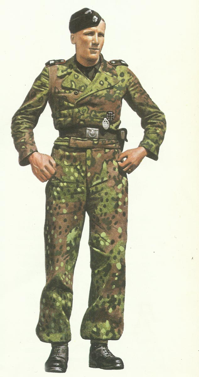 Waffen-SS Uniforms > WW2 Weapons